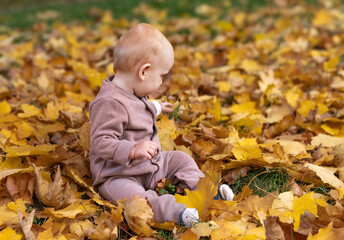 tiny funny baby european boy 10 months old sitting in autumn park among bright orange leaves