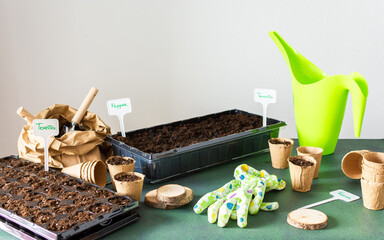 Planting tomato and pepper seeds in plastic containers and eco-pots, growing seedlings at home,...