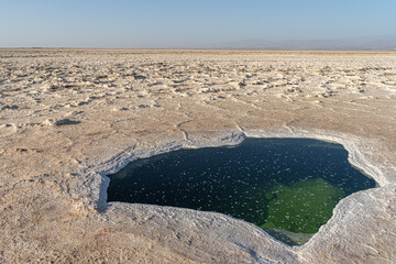 Lake formed in hole in salt layer in desert of the Danakil Depression, lowest and hottest place on...