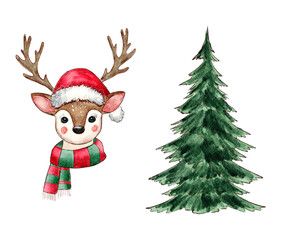 Watercolor Cute Red and Green Reindeer Christmas .isolated on white background