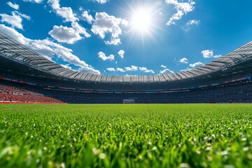 Fototapeta premium Stadium in depth from the grass photo