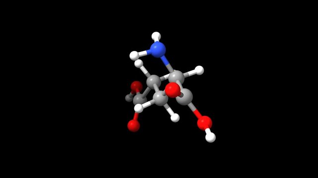 Structure of the amino acid DL-glutamic acid. Animated 3D ball-and-stick and space-filled models, black background.