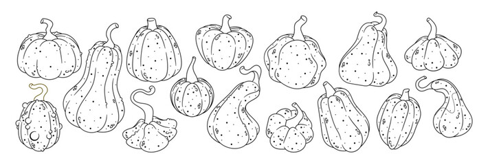 Black And White Outline Illustration Featuring A Variety Of Autumn Pumpkins And Gourds Perfect For Seasonal Designs