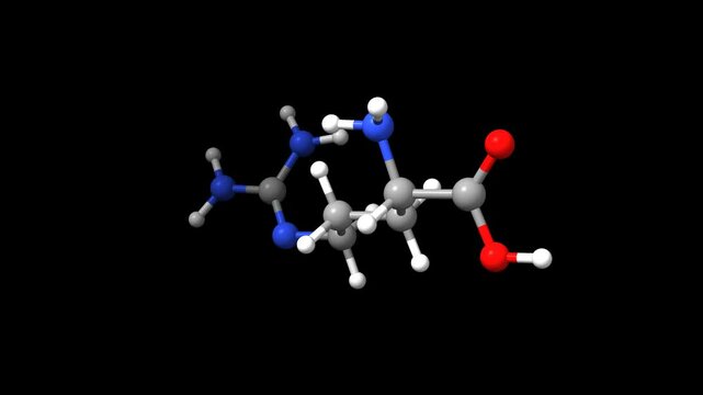 Structure of the amino acid DL-arginine. Animated 3D ball-and-stick and space-filled models, black background.