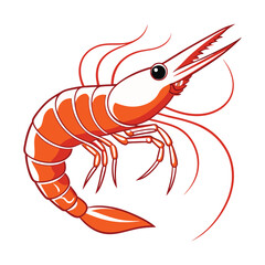  prawn vector white background
