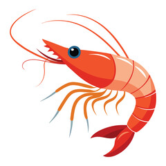  prawn vector white background