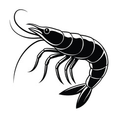  prawn vector white background