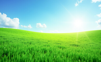 Obraz premium green grass blue sky with clouds