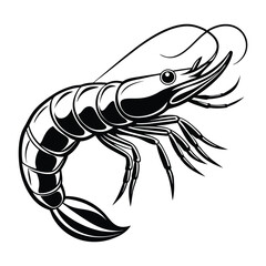  prawn vector white background