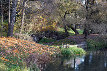 autumn landscape with a bridge and a river in the forest