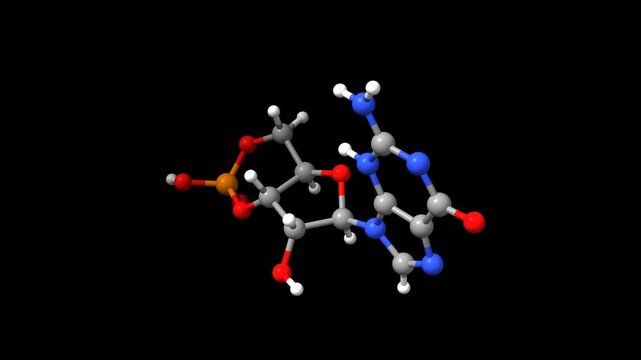 Structure of cyclic guanosine monophosphate. Animated 3D ball-and-stick and surface models, black background