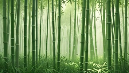 Fototapeta premium bamboo forest background