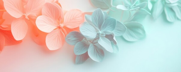 Fototapeta premium Delicate Pastel Flower Petals with Soft Focus