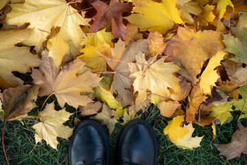 Black boots on autumn foliage