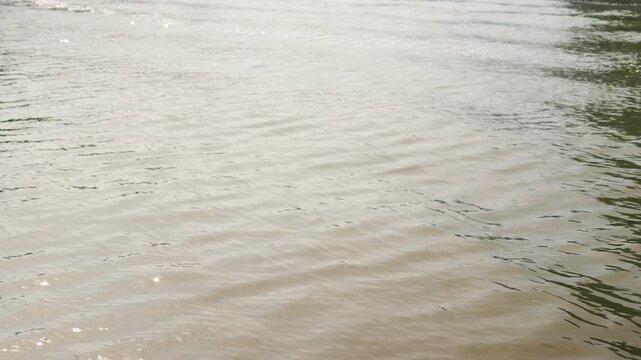 Video, lake landscape, water waves and rocky shore