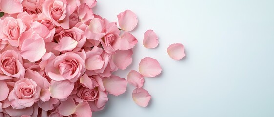 Fototapeta premium Gorgeous Pink Roses and Petals in Closeup Detail on Light Blue-Grey Surface, Romantic Floral Arrangement with Tranquil Mood for Valentine's Day or Wedding Invitations