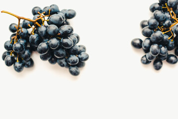 Bunch of black grapes on a white background. Black grapes on a white background.