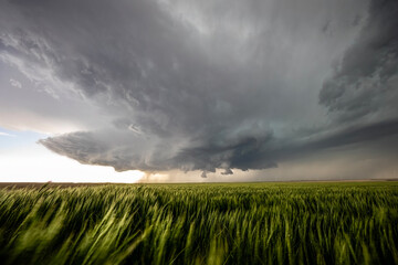 Supercell