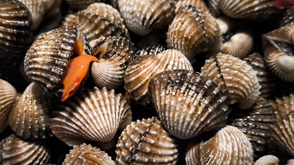 Clams in a restaurant. Seafood.