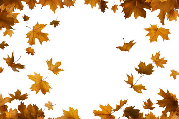 Obraz premium Autumn leaves falling isolated on transparent or white background,PNG