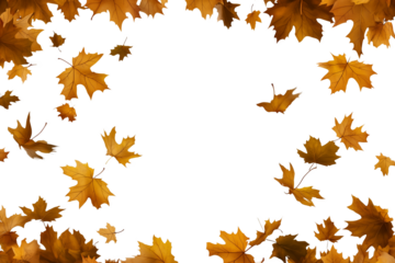 Autumn leaves falling isolated on transparent or white background,PNG