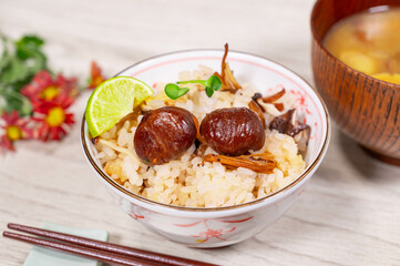 秋の味覚　栗ごはん