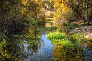 View of the reflection of the trees in autumn on the river, in the Enchanted Forest of Fig Trees in Pozo Alcon, Jaen, Andalucia, Spain
