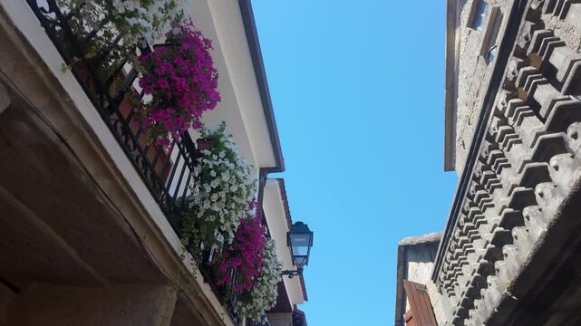 Balconies with flowers on a sunny day in the picturesque village of Combarro, Galicia.