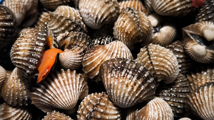 Clams in a restaurant. Seafood.