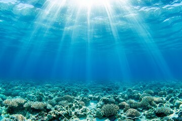 Obraz premium The canyon is underwater in the reef with sunlight streaming through water surface, in French Polynesia's Pacific ocean