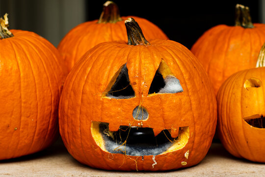 Decaying jack o lantern with mold growing