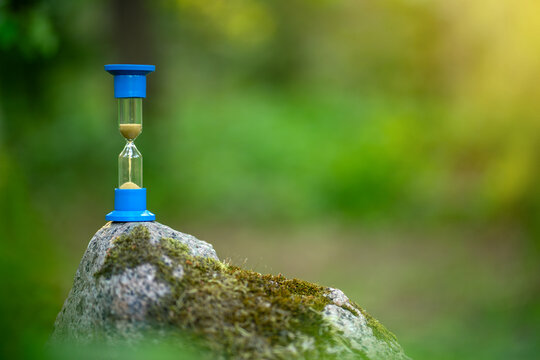 An hourglass for 1 minute with a blue top stands on top of a stone in the forest. Lost time.