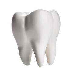 Dental model, side view, white transparent background image.