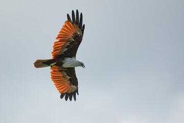 Fototapeta premium Brahmineneweihe