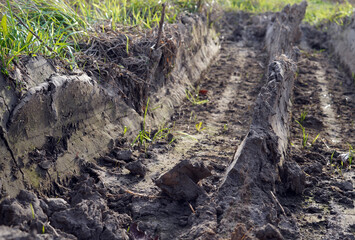 Ruts in the mud. We see a tire pattern imprinted in the dirt.