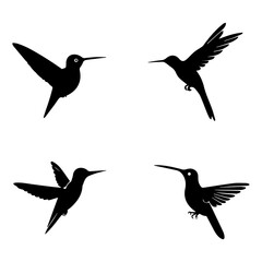 Set of hummingbird silhouettes on transparent background