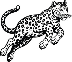 snow leopard jump on white background