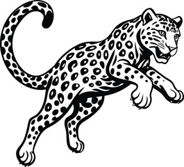 snow leopard jump on white background