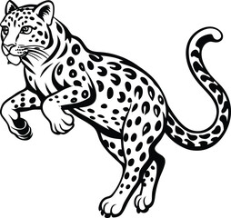 snow leopard jump on white background