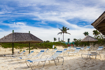 Tranquil Beach Scene With Palm Trees and Sun Loungers
