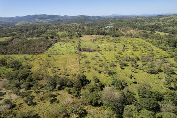 Green tropical aerial landscape