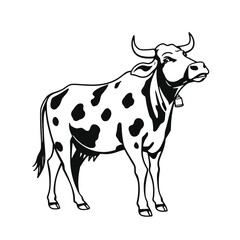 Fototapeta premium a black and white line drawing of a funny cow.