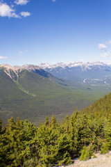 Breathtaking Mountain Range with Lush Forest and Blue Sky