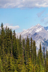 Majestic Mountain View with Evergreen Forest and Snowy Peaks