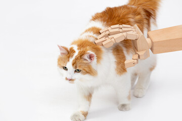 A Wooden Hand Gently Petting a Cat A Captivating and Unique Perspective on Friendship