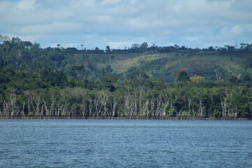 margens do rio amazonas, pará 