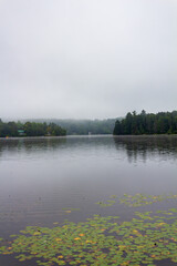 Fototapeta premium Serene Foggy Lake With Calm Water and Trees