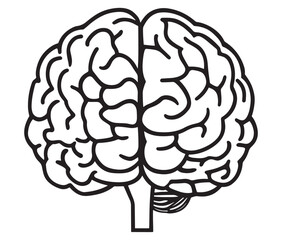 Human brain illustration, Hand drawn brain drawing illustration. Human brain icon