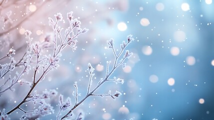 Naklejka premium Frosted Red Berries in a Winter Wonderland: A Serene Close-Up Capturing Nature's Icy Beauty winter