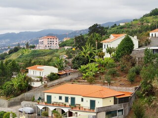 A captivating view includes modern high-rises combining with traditional structures scattered...